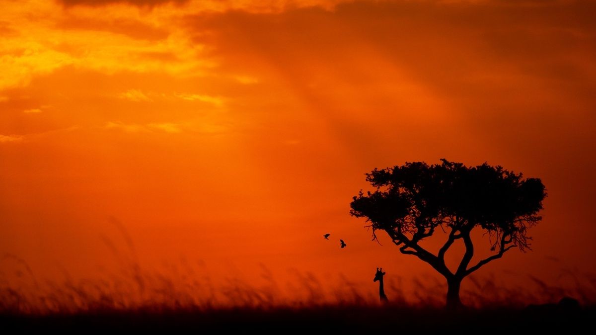 FOTO: Keňské národní parky při západu slunce